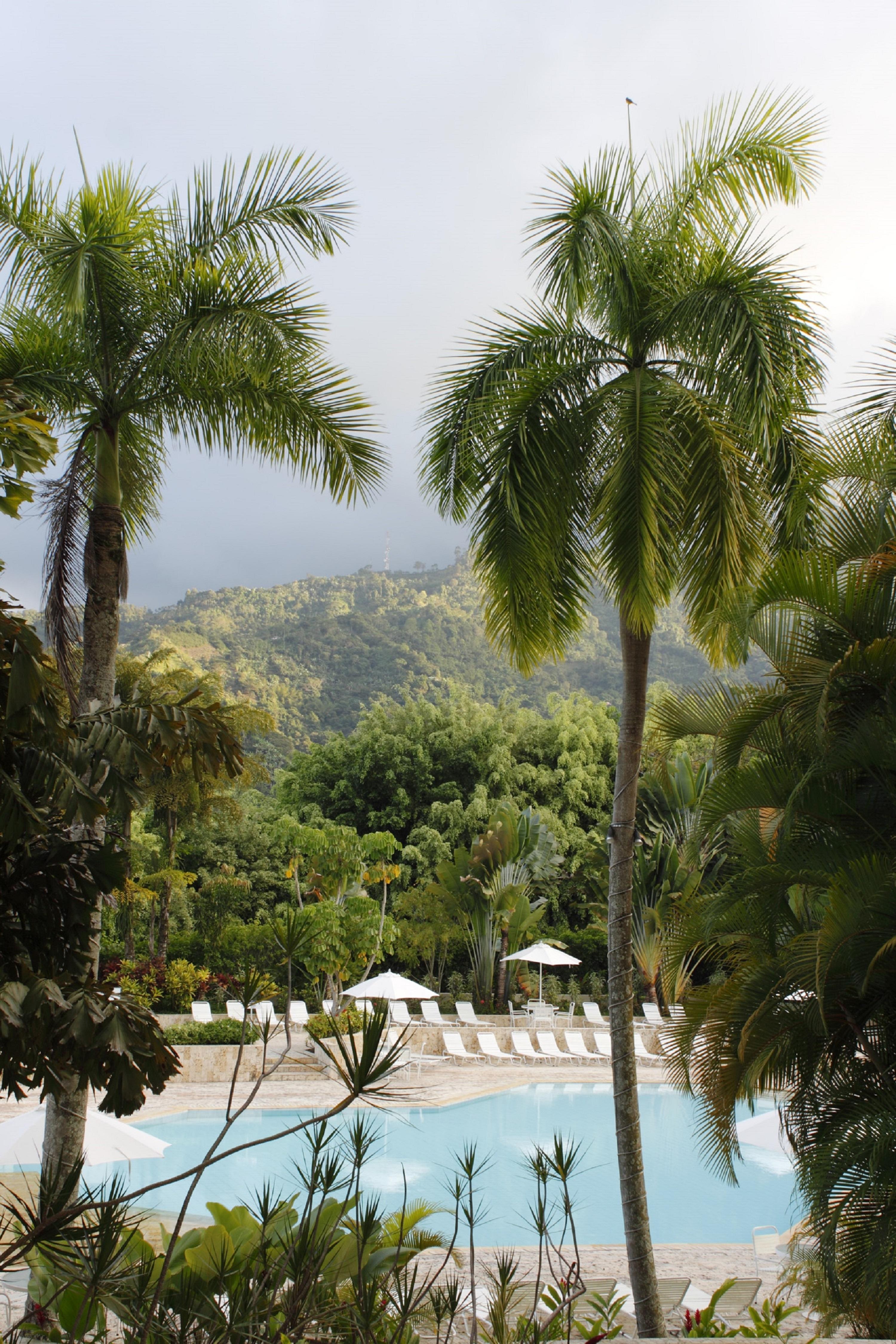 Hotel Estelar Altamira Ibague Exterior photo Tropical rainforest in Hawaii